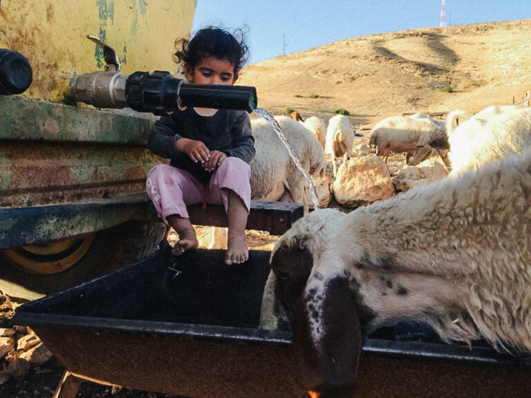 jordan valley little girl poring water for sheep femlens